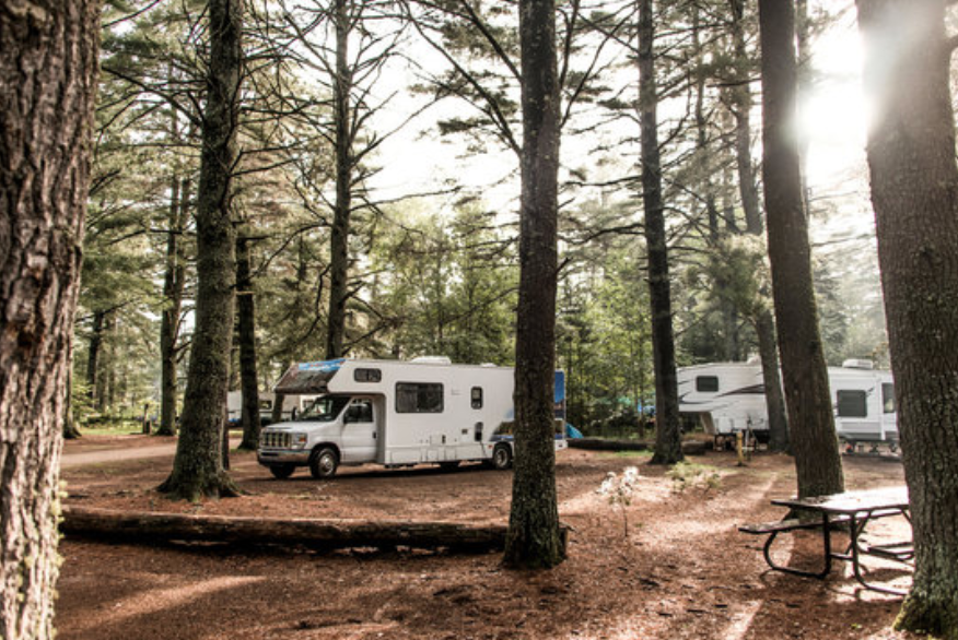 campers in the woods